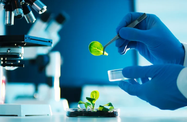 เทคโนโลยีชีวภาพ